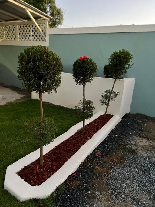 Playa Y Campo Studio Isabela Ngoại thất bức ảnh